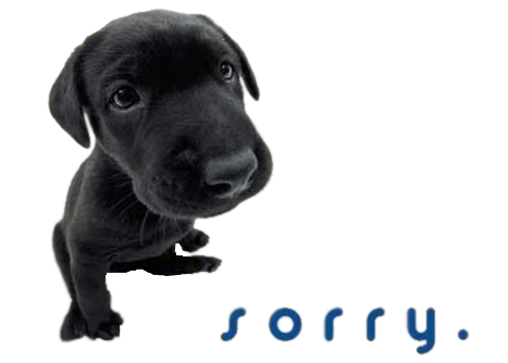 Sorry.